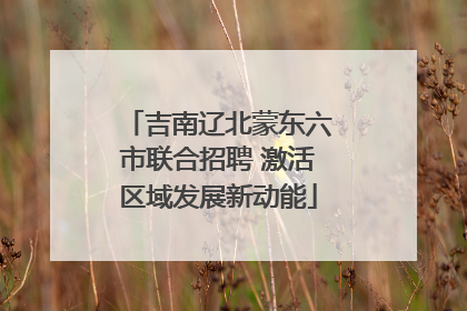 吉南辽北蒙东六市联合招聘 激活区域发展新动能