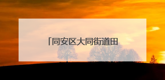 同安区大同街道田洋村：文旅出圈 网红村探索长红路
