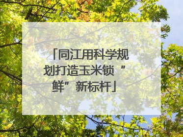 同江用科学规划打造玉米锁“鲜”新标杆