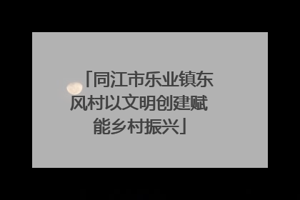 同江市乐业镇东风村以文明创建赋能乡村振兴