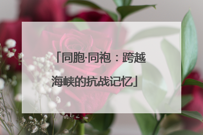 同胞·同袍：跨越海峡的抗战记忆
