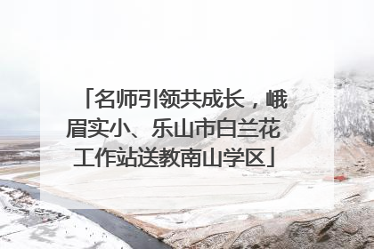 名师引领共成长，峨眉实小、乐山市白兰花工作站送教南山学区