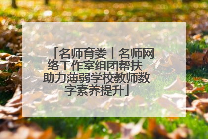 名师育娄丨名师网络工作室组团帮扶 助力薄弱学校教师数字素养提升