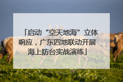 启动“空天地海”立体响应，广东四地联动开展海上防台实战演练