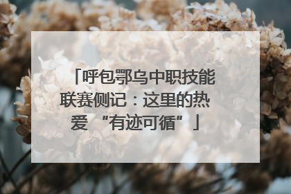呼包鄂乌中职技能联赛侧记：这里的热爱 “有迹可循”
