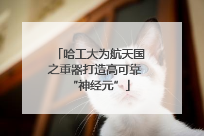 哈工大为航天国之重器打造高可靠“神经元”
