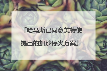 哈马斯已同意美特使提出的加沙停火方案