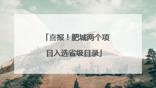 喜报！肥城两个项目入选省级目录