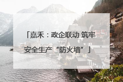 嘉禾：政企联动 筑牢安全生产“防火墙”
