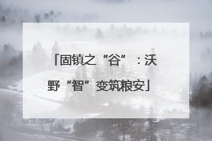 固镇之“谷”：沃野“智”变筑粮安
