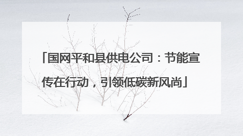 国网平和县供电公司：节能宣传在行动，引领低碳新风尚