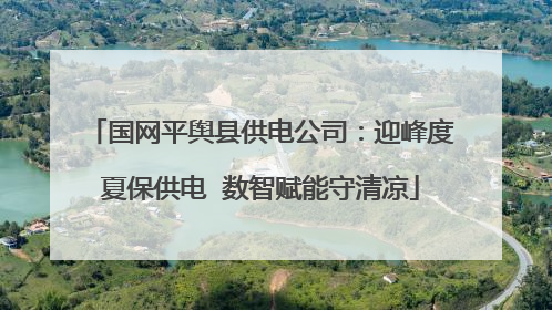 国网平舆县供电公司：迎峰度夏保供电  数智赋能守清凉
