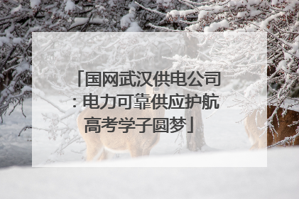 国网武汉供电公司：电力可靠供应护航高考学子圆梦