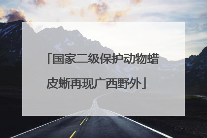 国家二级保护动物蜡皮蜥再现广西野外