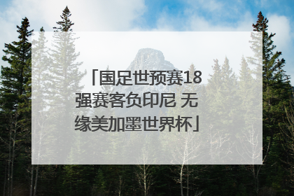 国足世预赛18强赛客负印尼 无缘美加墨世界杯