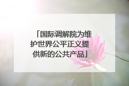国际调解院为维护世界公平正义提供新的公共产品