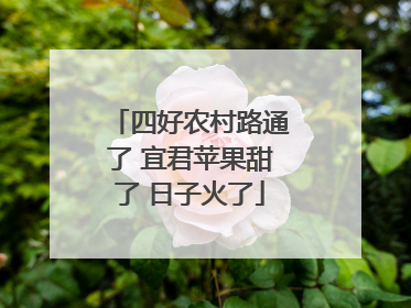 四好农村路通了 宜君苹果甜了 日子火了