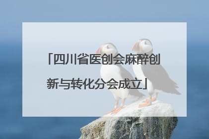 四川省医创会麻醉创新与转化分会成立