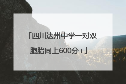 四川达州中学一对双胞胎同上600分+