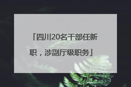 四川20名干部任新职，涉副厅级职务