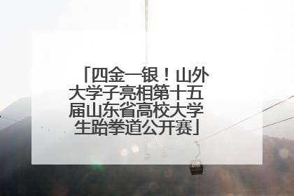 四金一银！山外大学子亮相第十五届山东省高校大学生跆拳道公开赛