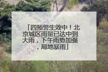 四预警生效中！北京城区雨量已达中到大雨，下午雨势加强，局地暴雨