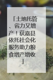 土地托管、省力又增产！获嘉县依托社会化服务助力粮食增产增收