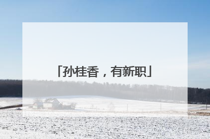 孙桂香，有新职