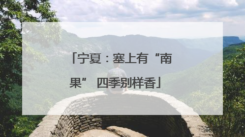 宁夏：塞上有“南果” 四季别样香