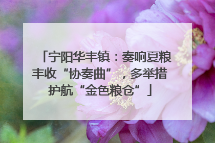 宁阳华丰镇：奏响夏粮丰收“协奏曲”，多举措护航“金色粮仓”
