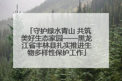 守护绿水青山 共筑美好生态家园——黑龙江省丰林县扎实推进生物多样性保护工作