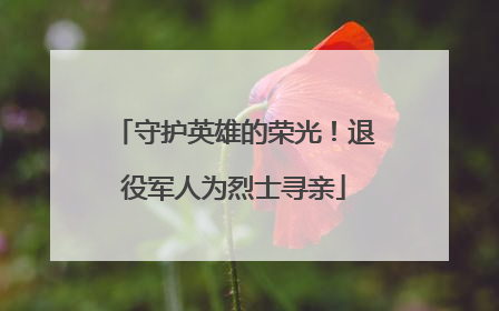 守护英雄的荣光！退役军人为烈士寻亲
