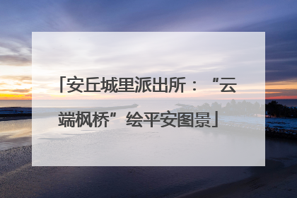 安丘城里派出所：“云端枫桥”绘平安图景