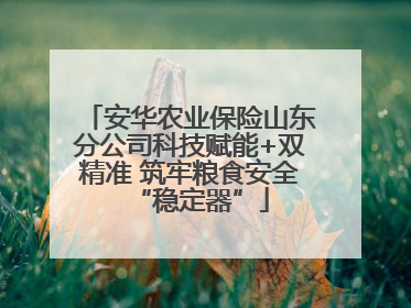 安华农业保险山东分公司科技赋能+双精准 筑牢粮食安全“稳定器”
