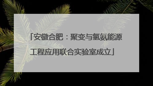 安徽合肥：聚变与氢氨能源工程应用联合实验室成立