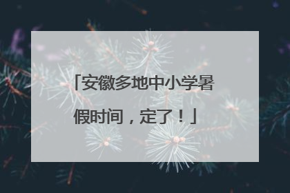 安徽多地中小学暑假时间，定了！