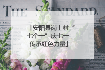 安阳县岗上村“七个一”庆七一 传承红色力量