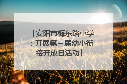 安阳市梅东路小学：开展第三届幼小衔接开放日活动