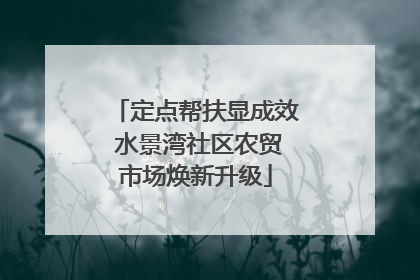 定点帮扶显成效 水景湾社区农贸市场焕新升级