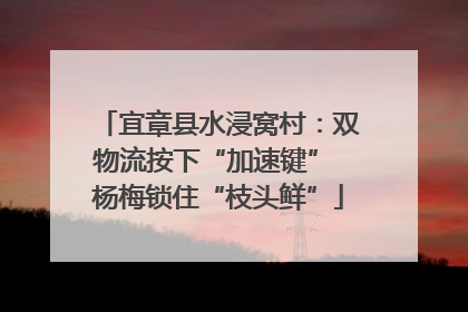 宜章县水浸窝村：双物流按下“加速键” 杨梅锁住“枝头鲜”