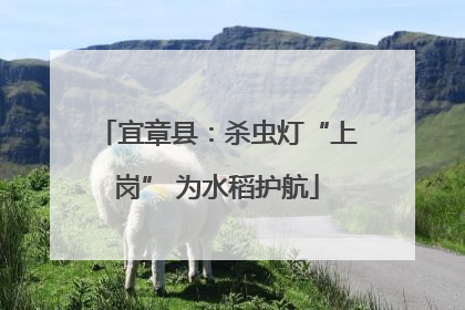 宜章县：杀虫灯“上岗” 为水稻护航
