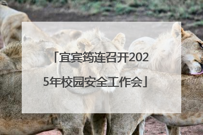 宜宾筠连召开2025年校园安全工作会