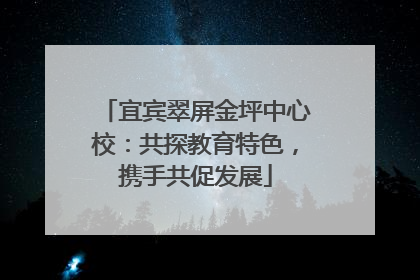 宜宾翠屏金坪中心校：共探教育特色，携手共促发展