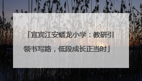 宜宾江安蟠龙小学：教研引领书写路，低段成长正当时