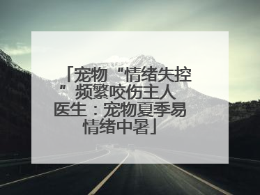 宠物“情绪失控”频繁咬伤主人 医生：宠物夏季易情绪中暑