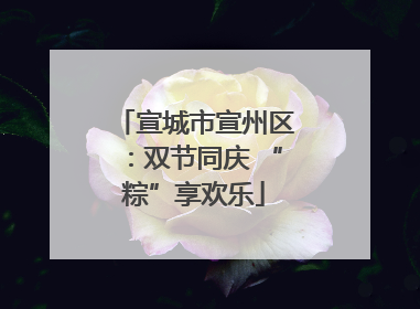 宣城市宣州区：双节同庆 “粽”享欢乐