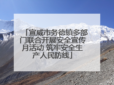 宣威市务德镇多部门联合开展安全宣传月活动 筑牢安全生产人民防线
