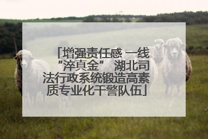 增强责任感 一线“淬真金” 湖北司法行政系统锻造高素质专业化干警队伍