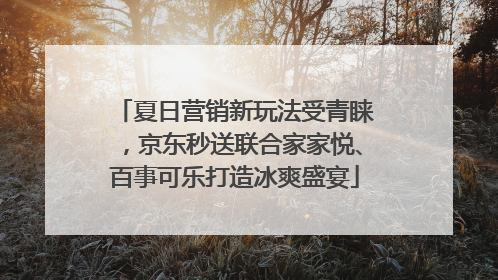 夏日营销新玩法受青睐，京东秒送联合家家悦、百事可乐打造冰爽盛宴