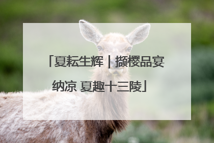 夏耘生辉｜撷樱品宴纳凉 夏趣十三陵